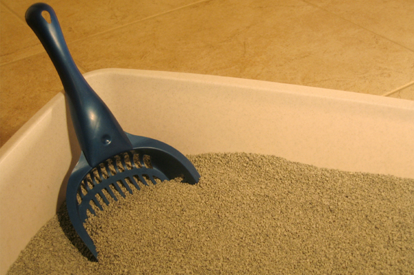 Litter Box