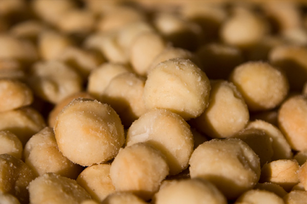 Macademia Nuts