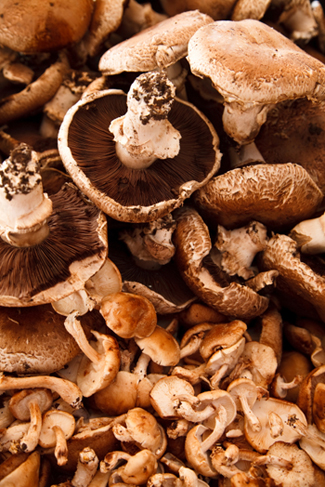 Mushrooms