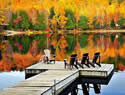 Autumn colours: Top 5 Fall foliage tours