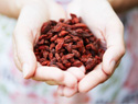 Must-have healthy foods