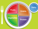 Lose weight with the MyPlate food guide