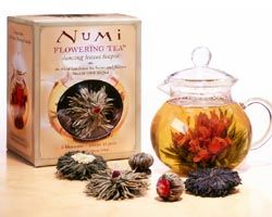 Numi Dancing Leaves Teapot