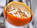 DIY bird feeders