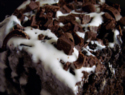 Delicious Oreo cookie ice cream cake recipe