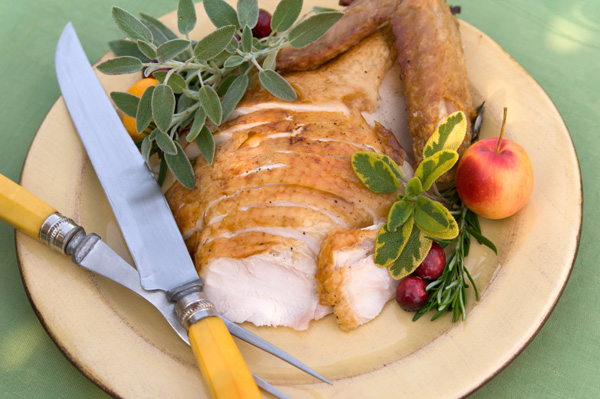 Organic Thanksgiving meal