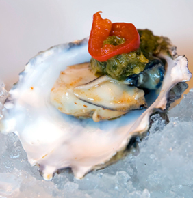 Oyster Shooter