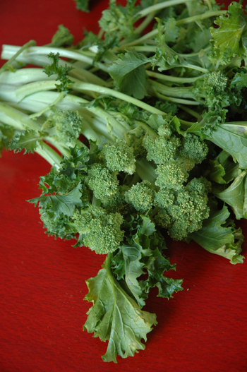 Broccoli Rabe