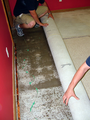 Rolling back wet carpet