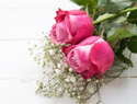 Say "I love you" with these quotes for Mom