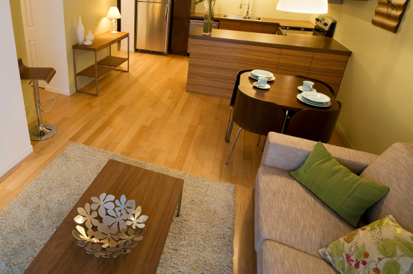 Sparse Living Room