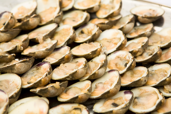 Steamed Clams