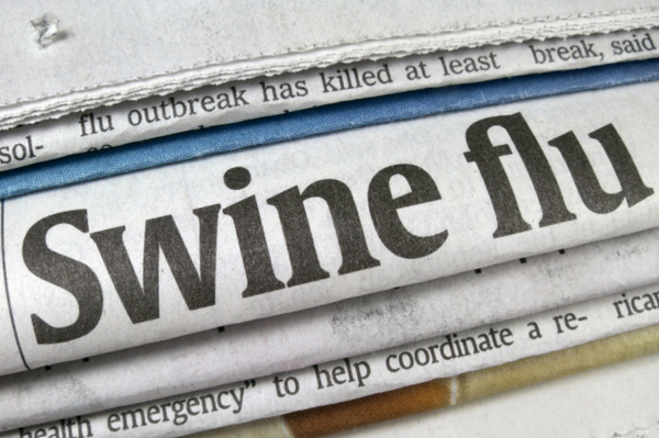 Swine Flu
