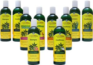 Theraneem Organix Hair Therape