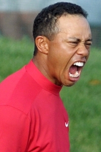Tiger Woods...how many more?