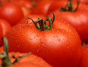 Top 10 healthiest vegetables 