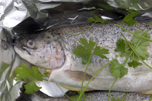 Trout in Foil