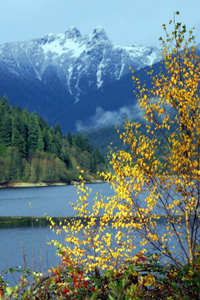 Vancouver in the Fall