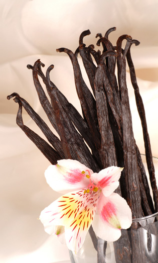 Vanilla Beans