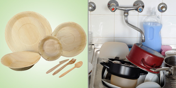 Biodegradable Palm Leaf Plates
