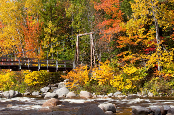 White Mountains