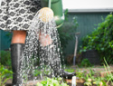 Tips to grow your own lettuce garden
