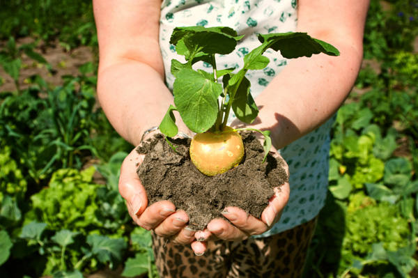 Woman Holding Maca