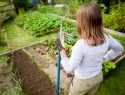 Start your own DIY winter veggie patch