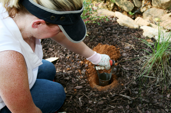 Woman planting bulbs