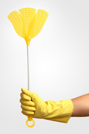 Woman with Fly Swatter