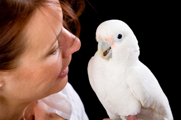 Woman with White Parrot