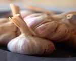 Garlic Butter