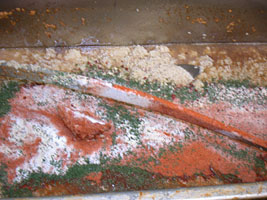 boudin sausage, cajun foods