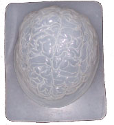 brain_mold.jpg halloween gelatin molds