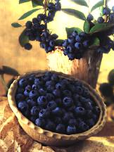 blueberries