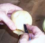 halloween recipes