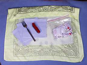 picnic rcipes, portable picnic packs