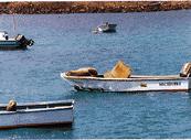 galapagos islands ,eco adventure travel