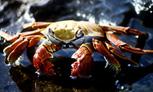 galapagos islands ,eco adventure travel