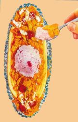 Wheaties Banana Split