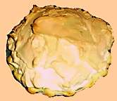 Cheri's Lemon Meringue Pie