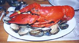 New England Lobster Bake in a Snap