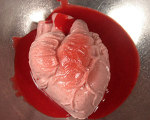 Anatomically Correct Strawberries and Cream Heart for Halloween