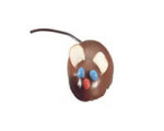Eek! Mice Candies