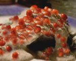 Chiles en Nogada - Stuffed Chiles in Walnut Sauce