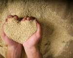 Apple cinnamon quinoa