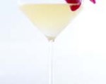 Orange gimlet cocktail recipe