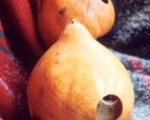 Gourd Birdhouses