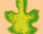 Maple Leaf Decorated Cookies