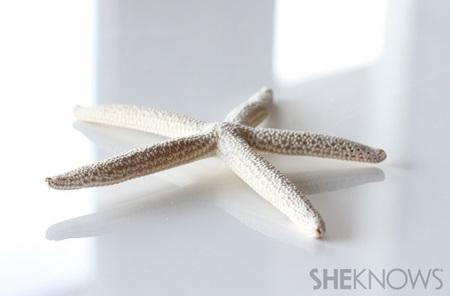 Starfish